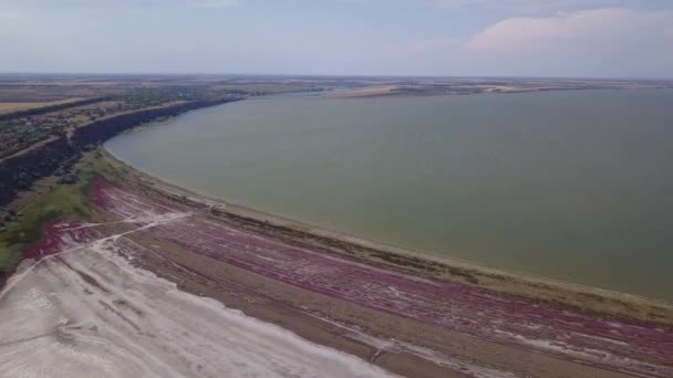 Beleza surpreendente de secar o estuário de urortnoe do voo de pássaros. Vista superior da zona costeira de reserva ecológica estuário Curortnoe, Odessa, Ucrânia. Vista aérea de drone para estuários de mar em subúrbios — Vídeo de Stock