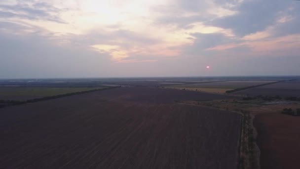 Zbor Deasupra Câmpului Grâu Apus Soare — Videoclip de stoc