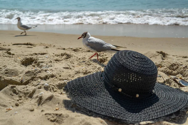 Sommerferien entspannen am Strand abstrakten Hintergrund. Frauenmütze am Strand Sand, vor dem Hintergrund des Meeres und Möwen. — Stockfoto