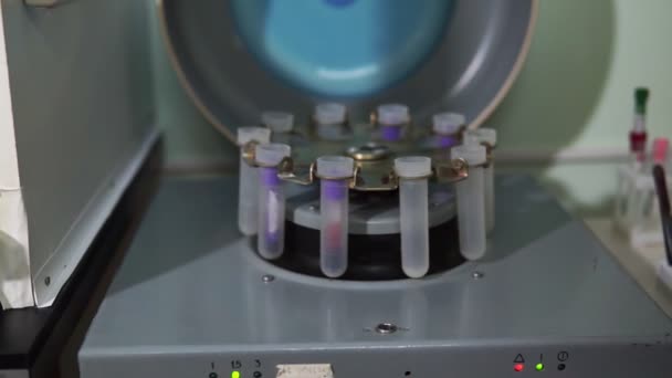 Les Éprouvettes Sont Insérées Dans Analyseur Biochimique Par Travailleur Laboratoire — Video