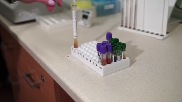 Una Asistente Laboratorio Está Preparando Análisis Sangre Tecnología Médica Moderna — Vídeo de stock