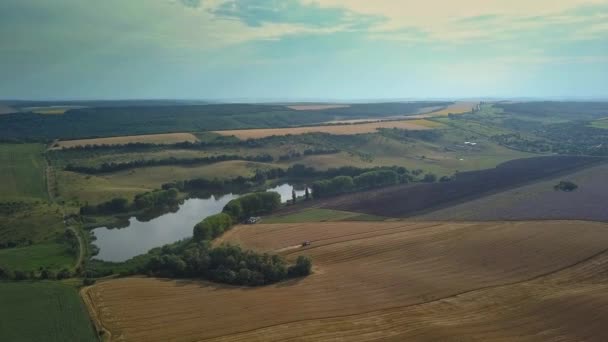 Green Fields Aerial View Harvest Summer — Stock Video