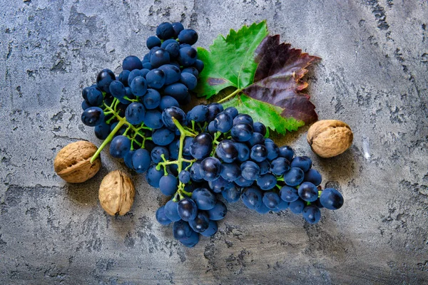 Uvas e nozes de parede, frescas — Fotografia de Stock