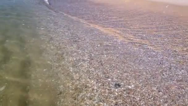 Gros plan Des Vagues De Mer Se Laver Sur La Côte Une Plage De Sable. Mouvement lent .