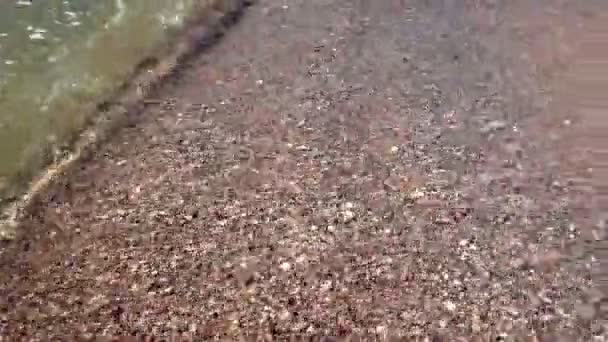 Primer Plano Olas Marinas Lavando Ashore Una Playa Arena Movimiento — Vídeos de Stock