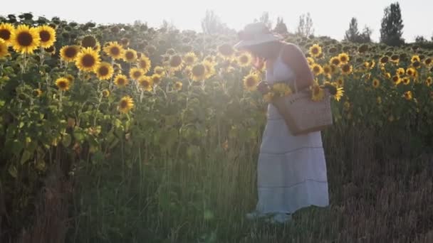 Женщина Шляпе Белом Платье Ходит Полю Подсолнухами — стоковое видео