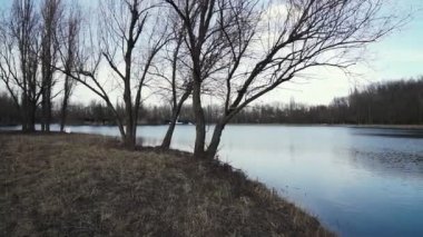 Şehir parkındaki göl manzarası. Baharın başlarında