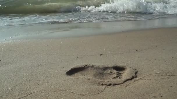 Voetafdrukken Van Een Persoon Het Natte Zand Van Het Strand — Stockvideo