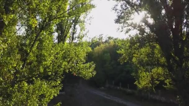 ウスラヴァ川の秋の色で 岸にはロンバルディのポプラがあります 美しい緑の自然に囲まれた小さな川の上を飛ぶ自然の風景の上のカメラフライト — ストック動画