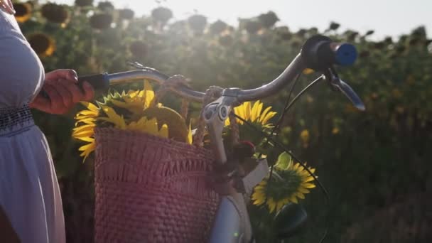 一个头戴帽子 身穿白色衣服 骑自行车的女人带着向日葵在花粉中穿行 — 图库视频影像