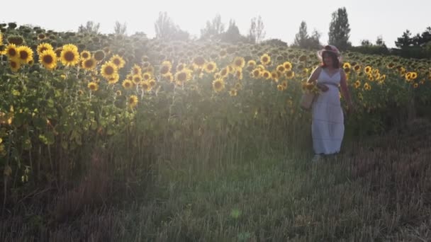 Uma Mulher Com Chapéu Vestido Branco Caminha Campo Com Girassóis — Vídeo de Stock