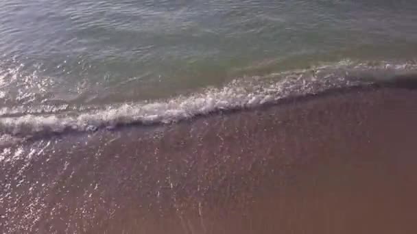 Sahilin Havadan Görünüşü Denizin Dalgaları Altın Kumun Üzerine Sıçrıyor — Stok video