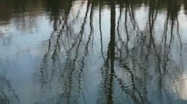 Şehir parkındaki göl manzarası. Baharın başlarında