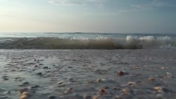 Pantai Laut Berbusa Ombak Laut Mencuci Pasir Ombak Menghantam Pantai — Stok Video