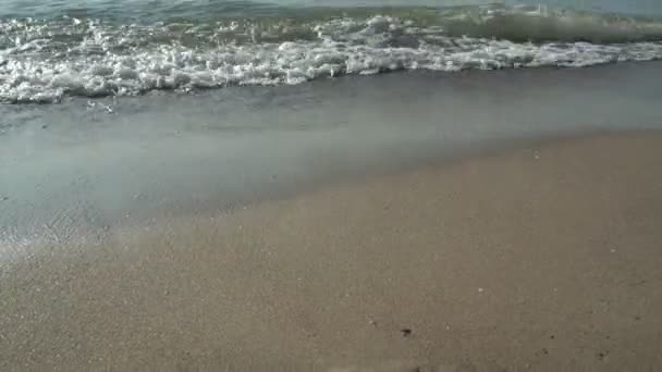 Plaża Piankowy Ocean Fale Morskie Myjące Piasek Fale Uderzają Piaszczystą — Wideo stockowe