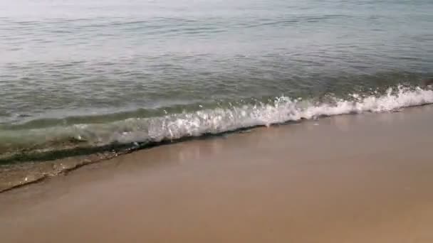 Пляж, пенный океан, морские волны, моющий песок. Волны бьют по песчаному пляжу. Звуки волн — стоковое видео