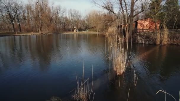 Widok Jezioro Parku Miejskim Wczesna Wiosna — Wideo stockowe