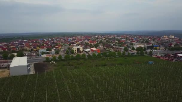 Vídeo Natureza Aérea Voo Sobre Jardim Maçã Primavera — Vídeo de Stock