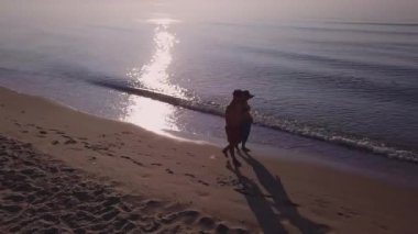 Sunset 'te erkek ve kadın sahilde yürüyor, tatilde çiftlerin kumsalda eğlenirken çekilmiş görüntülerini izliyorlar. Gün batımında kumsalda yürüyen çift..