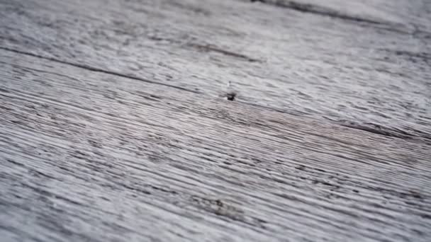 棕色木材纹理背景表面与旧的自然图案 靠近点 — 图库视频影像