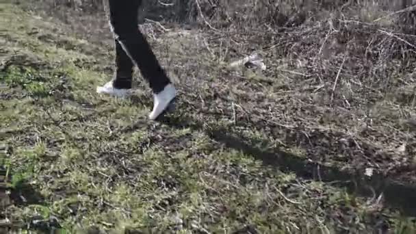 Een Vrouw Sportschoenen Loopt Langs Een Ruige Bosweg — Stockvideo