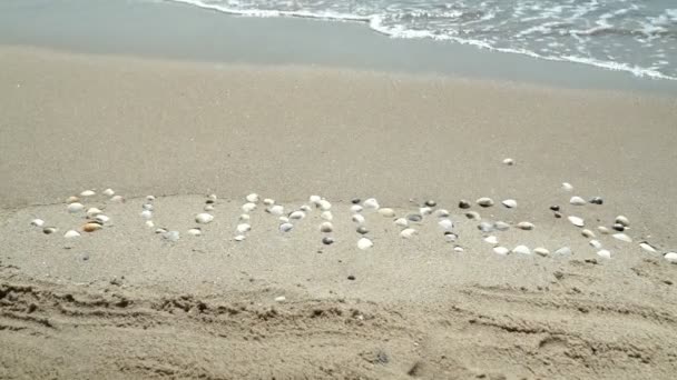Lato Napisane Piasku Napis Lato Napisane Piaszczystej Plaży Muszlami — Wideo stockowe