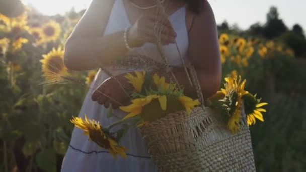 帽子を被った女性と白いドレスがひまわり畑を歩いている — ストック動画