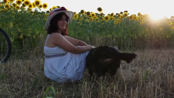 Woman Hat White Dress Sits Mown Field Next Sunflowers Plays — Stock video