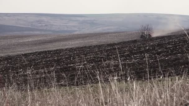 Tractor Mounted Seeder Performing Direct Seeding Crops Plowed Agricultural Field — Stock Video