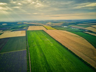 Lavanta alan ile bir manzara havadan görünümü