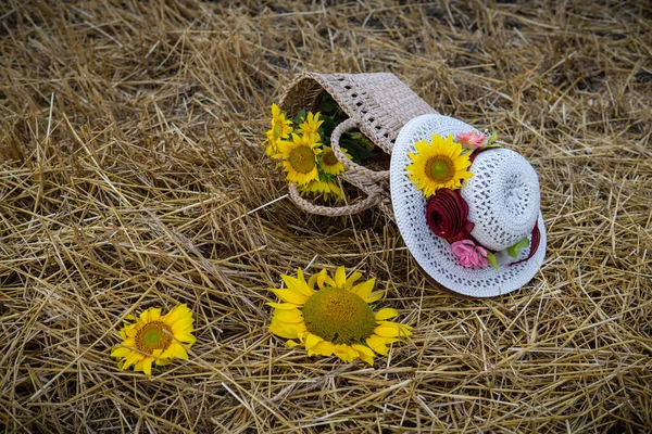 Nature Morte Chapeaux Paniers Avec Tournesols Sur Champ Fauché — Photo