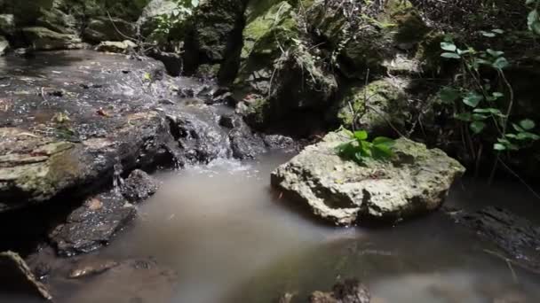 Лісова Течія Протікає Над Мохоподібними Скелями Невеликий Водоспад Річки Літній — стокове відео