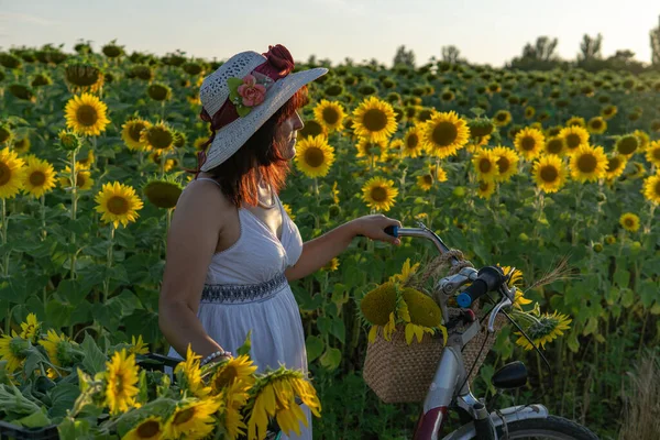 Žena Klobouku Bílých Šatech Bicyklem Prochází Pylem Slunečnicemi — Stock fotografie