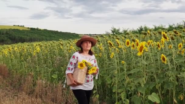 戴着帽子的年轻漂亮的女人带着高大的向日葵穿过田野 肖像视图 — 图库视频影像