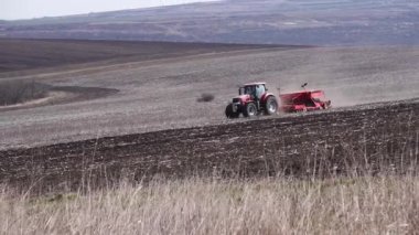 Atlı ekicili traktör tarlalarda doğrudan ekin tohumu yapıyor. Tarlaya ekin ekme tekniği. Tohum ekmek toprağa ekme sürecidir..
