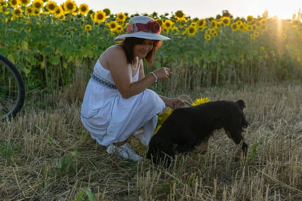 Woman Hat White Dress Sits Mown Field Next Sunflowers Plays — Stock fotografie