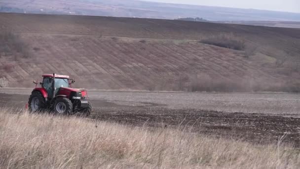 Atlı Ekicili Traktör Tarlalarda Doğrudan Ekin Tohumu Yapıyor Tarlaya Ekin — Stok video