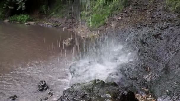 Nahaufnahme Eines Kleinen Wasserfalls Einem Tiefen Wald Mit Geräuschen — Stockvideo