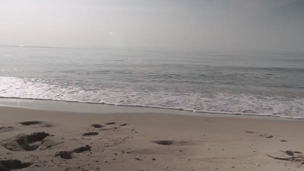 男と女が手を取り合って暖かい紺碧の海に入る — ストック動画
