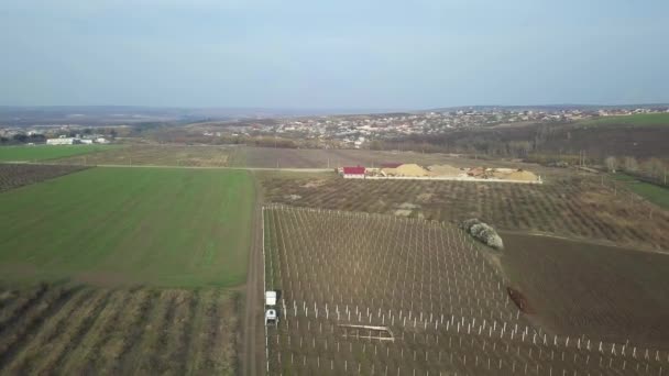 Mezők Drónból Alacsony Légi Repülés Felett Mezők Drón Antenna Mezőgazdasági — Stock videók
