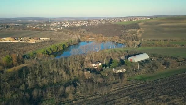 Lake Fields Drone Lage Luchtvlucht Het Meer Velden Drone Aerial — Stockvideo
