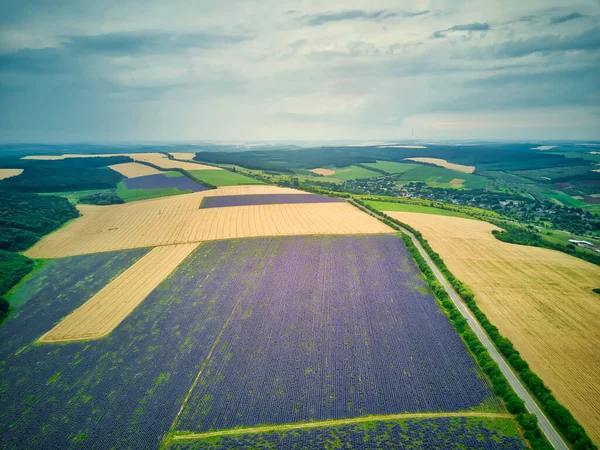 Vista Aérea Paisaje Con Campo Lavanda — Foto de Stock