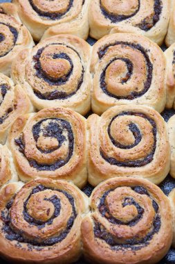 Fırından yeni çıkmış kuru üzümlü altın sarısı tarçınlı rulo.