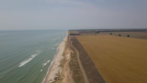 Luftaufnahme Der Küste Und Des Strandes Wunderbare Meereslandschaft — Stockvideo