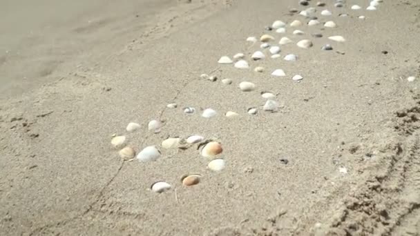 Sommer Den Sand Geschrieben Inschrift Der Sommer Auf Einem Sandstrand — Stockvideo