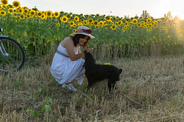 一个头戴帽子 身穿白衣的女人坐在向日葵旁边的一块割过的地里 与一只狗玩耍 — 图库照片