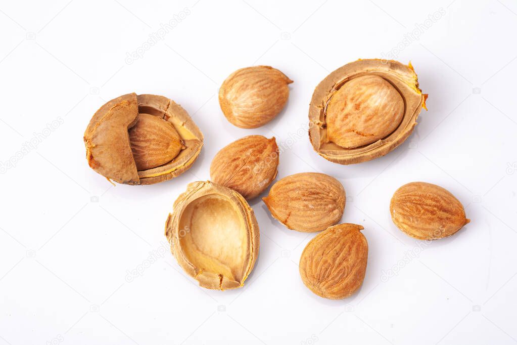 apricot kernel isolated on white background