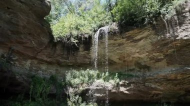 derin bir ormanda küçük bir şelale yakın (ses ile)