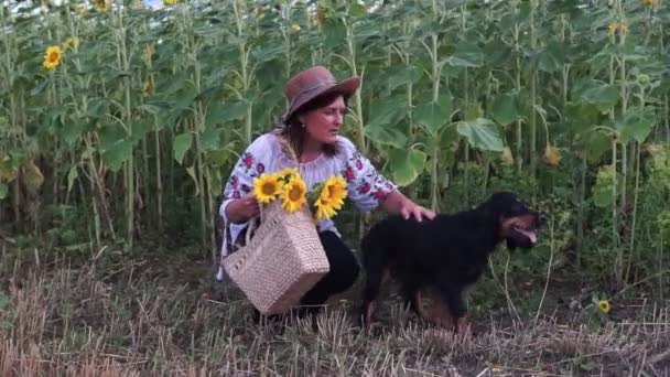 Woman Hat White Dress Sits Mown Field Next Sunflowers Plays — Stock video