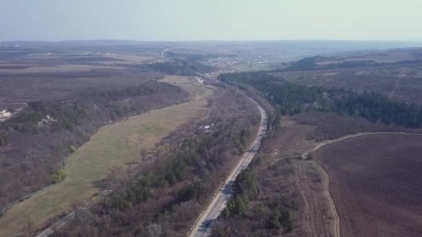 Aerial Flug Über Straße Die Durch Wald Führt Drone Blick — Stockvideo